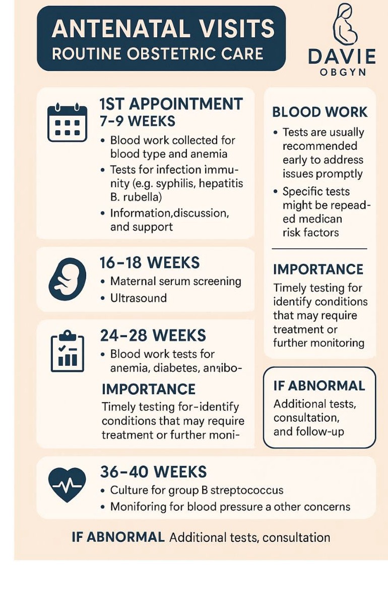 Pregnancy Journey