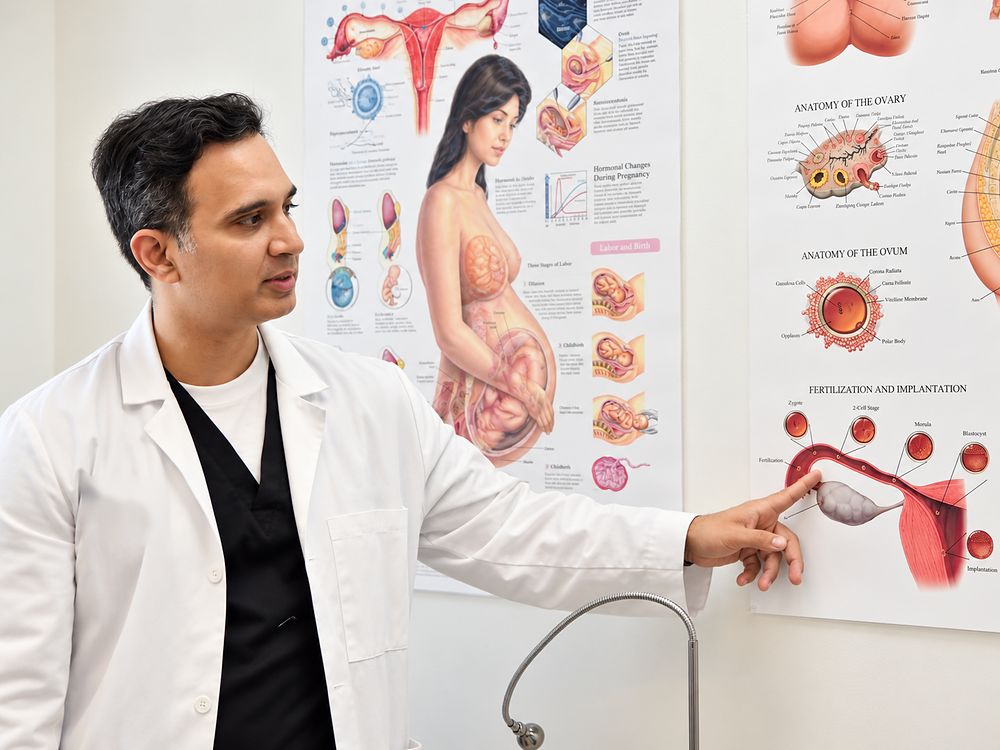 Dr. Malik explaining fertilization and implantation using an anatomy poster